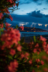 Similar image 21533457