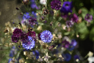 Similar image 21528546