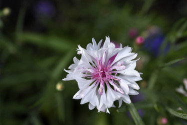 Similar image 21528547