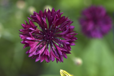 Similar image 21528549