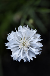 Similar image 21528550