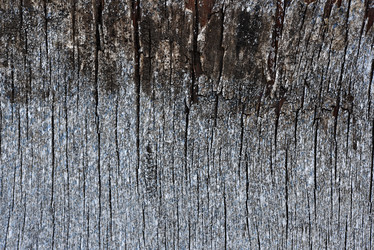 Similar image 21528567