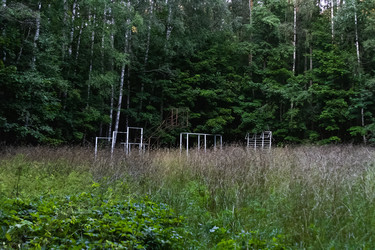 Similar image 21528732