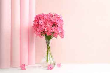 Similar image 21528735