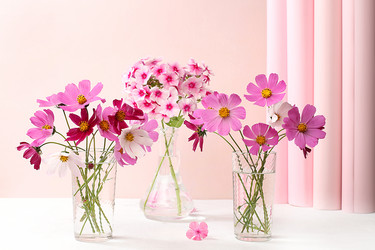 Similar image 21528736