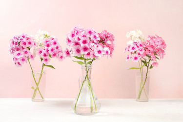 Similar image 21528737