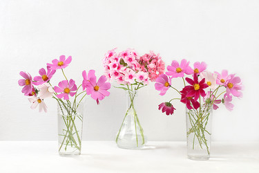 Similar image 21528738