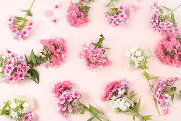 Similar image 21528739