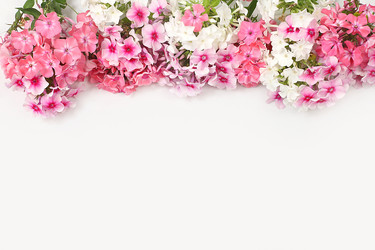 Similar image 21528741