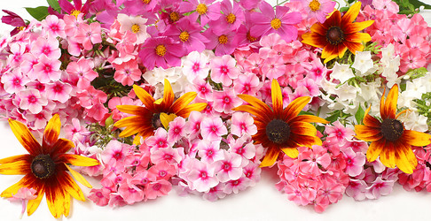 Similar image 21528742