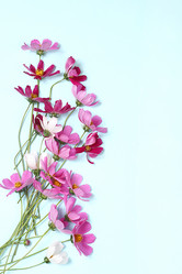 Similar image 21528743