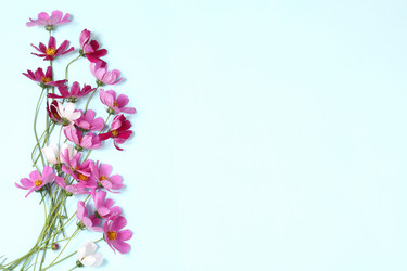 Similar image 21528744