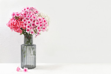 Similar image 21528745