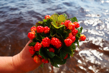 Similar image 21538523