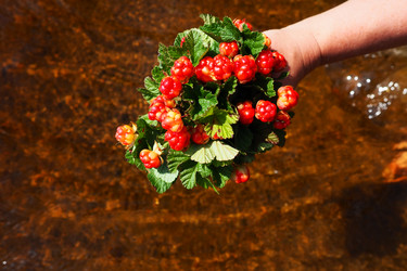 Similar image 21538524