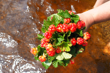 Similar image 21538526