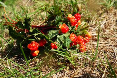 Similar image 21538528