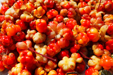 Similar image 21538530