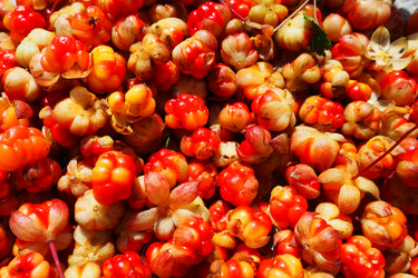 Similar image 21538531