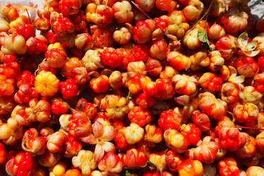 Similar image 21538532