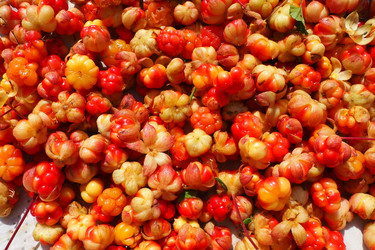 Similar image 21538533