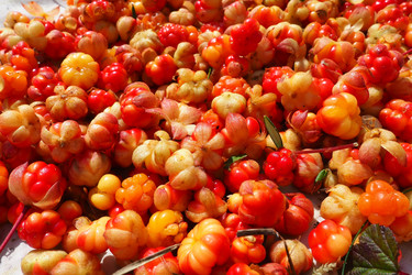 Similar image 21538534