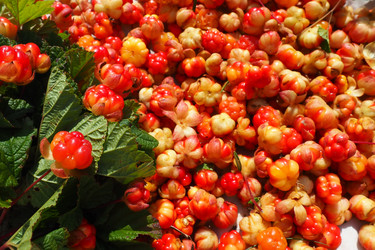 Similar image 21538535