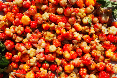 Similar image 21538537