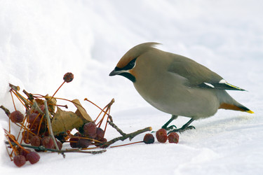 Similar image 21528857