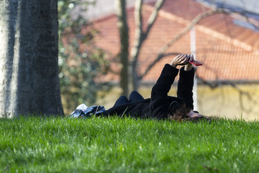 Similar image 21528608