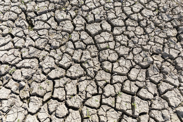 Similar image 21528616