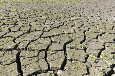 Similar image 21528619