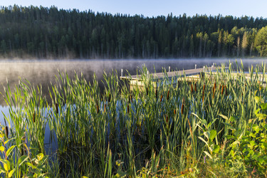 Similar image 21528626