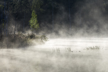 Similar image 21528631