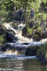 Similar image 21528637