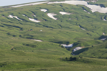 Similar image 21528654