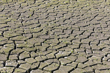 Similar image 21528657