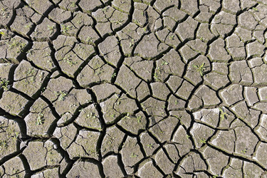 Similar image 21528658