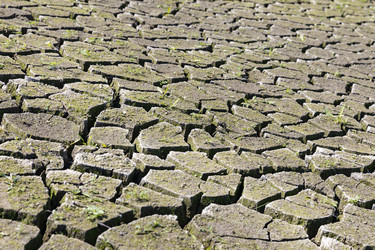 Similar image 21528660