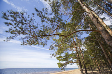 Similar image 21528873