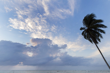 Similar image 21528874