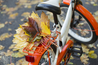 Similar image 21528892