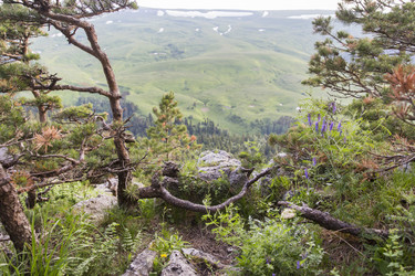 Similar image 21528894