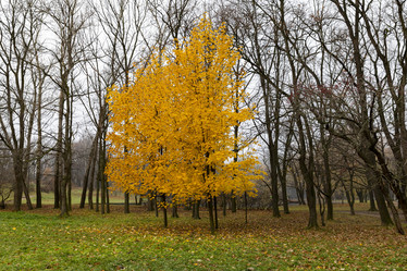 Similar image 21528896