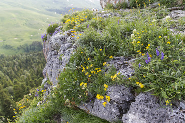 Similar image 21528900