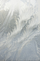 Similar image 21528926