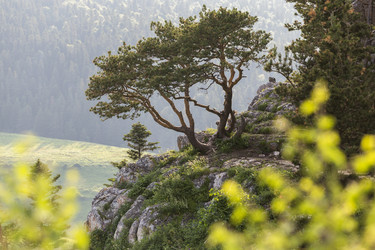 Similar image 21528937