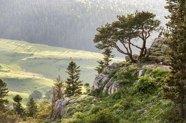 Similar image 21528938