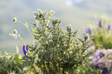 Similar image 21528942