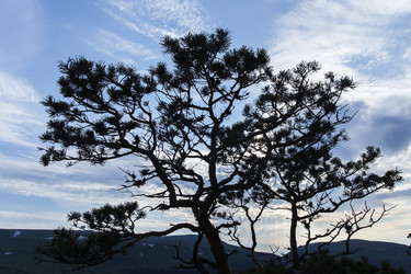 Similar image 21528943